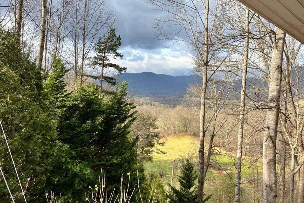 Misty Mountain Cottage Waynesville Exterior foto