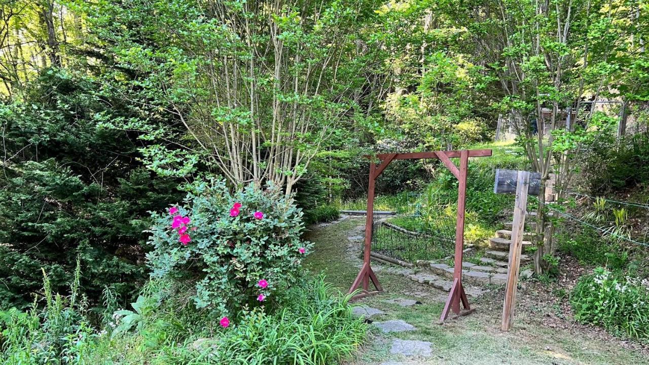 Misty Mountain Cottage Waynesville Exterior foto