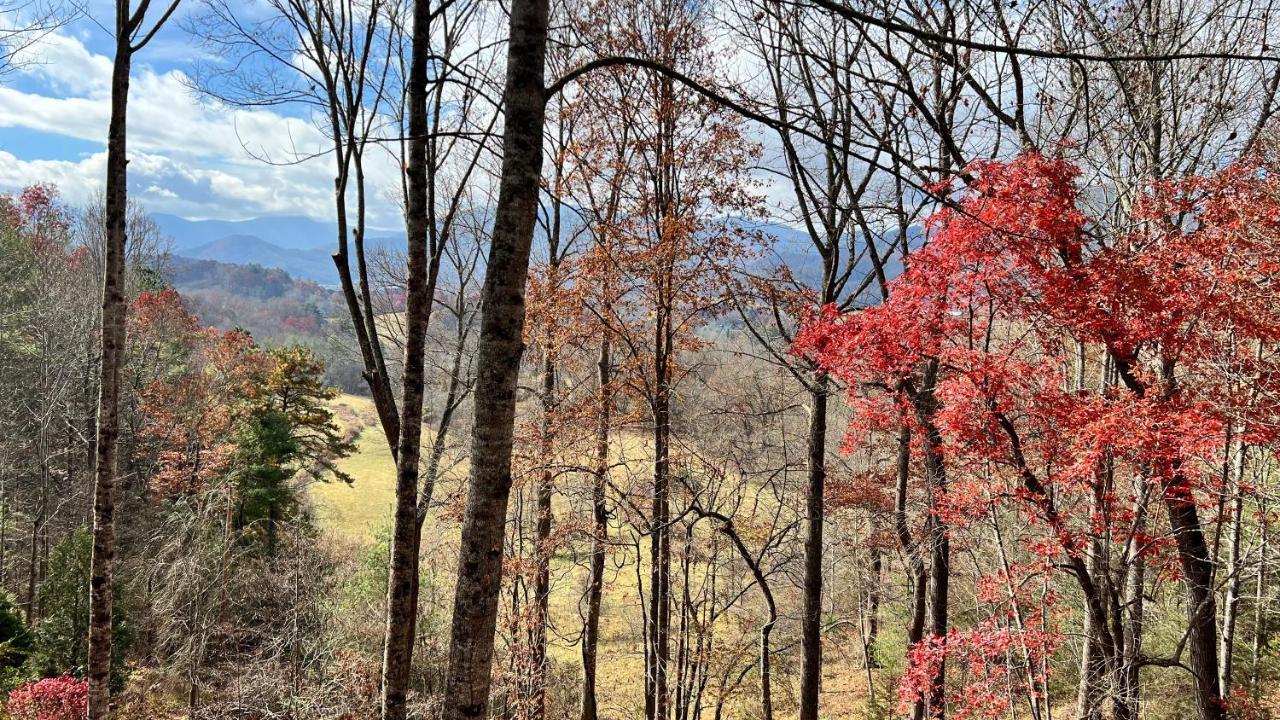 Misty Mountain Cottage Waynesville Exterior foto